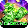 australian cricket Pro Casino App