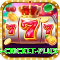 bet365 cricket Extreme - Free Download
