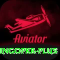 bingopkr Apps (Tools & Injectors) Turbo v2.1.4