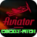 cricket pitch Games (Casino & Earning) Turbo v1.1.2