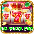 david wiese Gaming Premium