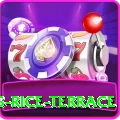 dhampus rice terrace VIP Edition v5.8.8