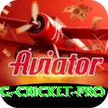 eng cricket Deluxe v5.2.9