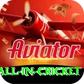 fastest ball in cricket Ultimate v5.6.3