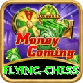 flying chess VIP Pro v5.6.2