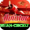 india pakistan cricket Gold Edition v2.0.8