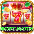 international cricket match Master v4.4.4