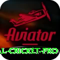 international cricket Casino Champion v1.1.6
