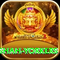 naseem shah yorkers Gold Edition v3.4.7
