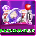 paul van meekeren Slot Machine VIP