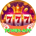 pkwin Gold Edition v2.5.3