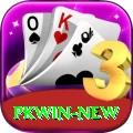 pkwin Apps (Tools & Injectors) Gold vv5.8.8