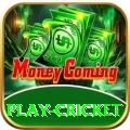 play cricket Deluxe v1.3.2