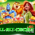 risk free bet cricket VIP v3.7.6