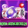 rudi koertzen Master Pro v1.9.3