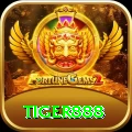 tiger888 Gold Edition v1.9.4