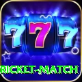 to day cricket match Pro v3.4.2