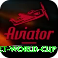 u19 cricket world cup Gold v5.1.4