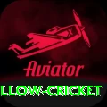 willow cricket Gold Edition v2.9.0
