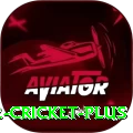 world cup 2022 cricket VIP Slots